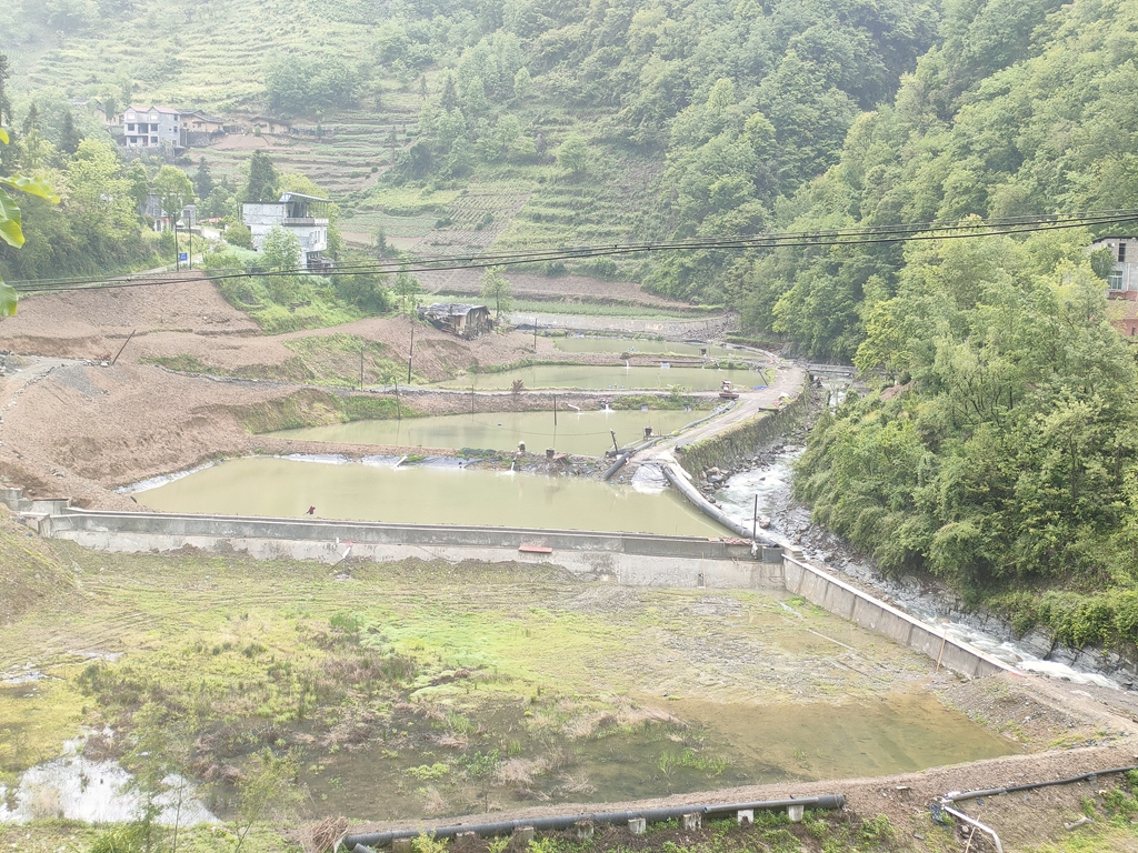 蒿坪镇全兴村集体经济渔业园区项目