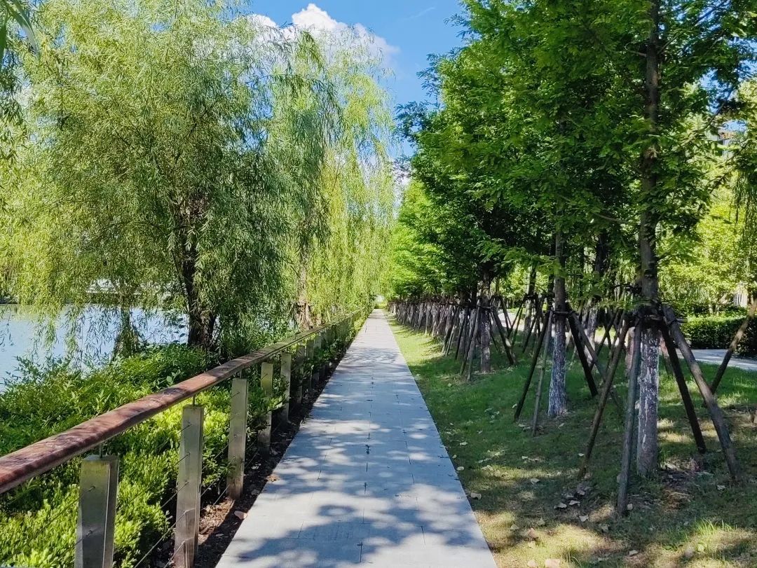 汉王农安亲子研学教育基地项目