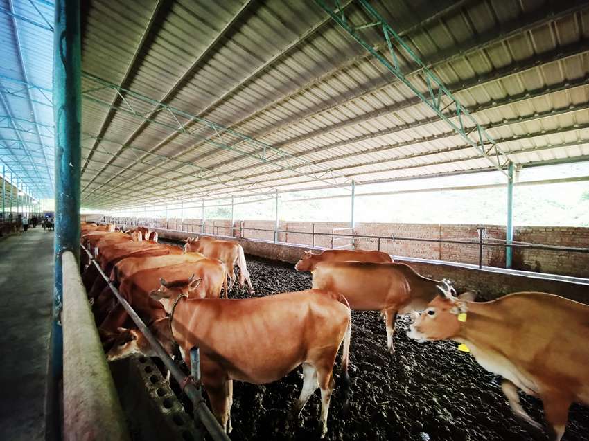 洞河圣越农业综合开发项目