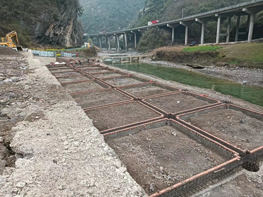 高桥康科魔芋产业基地项目