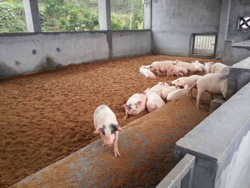 界岭远沣养殖场扩建项目