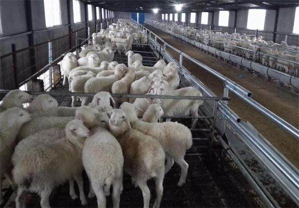 红椿钿果畜牧养殖场二期项目