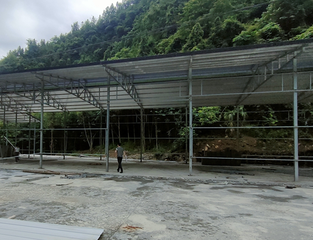 双桥伴山现代农业园区项目