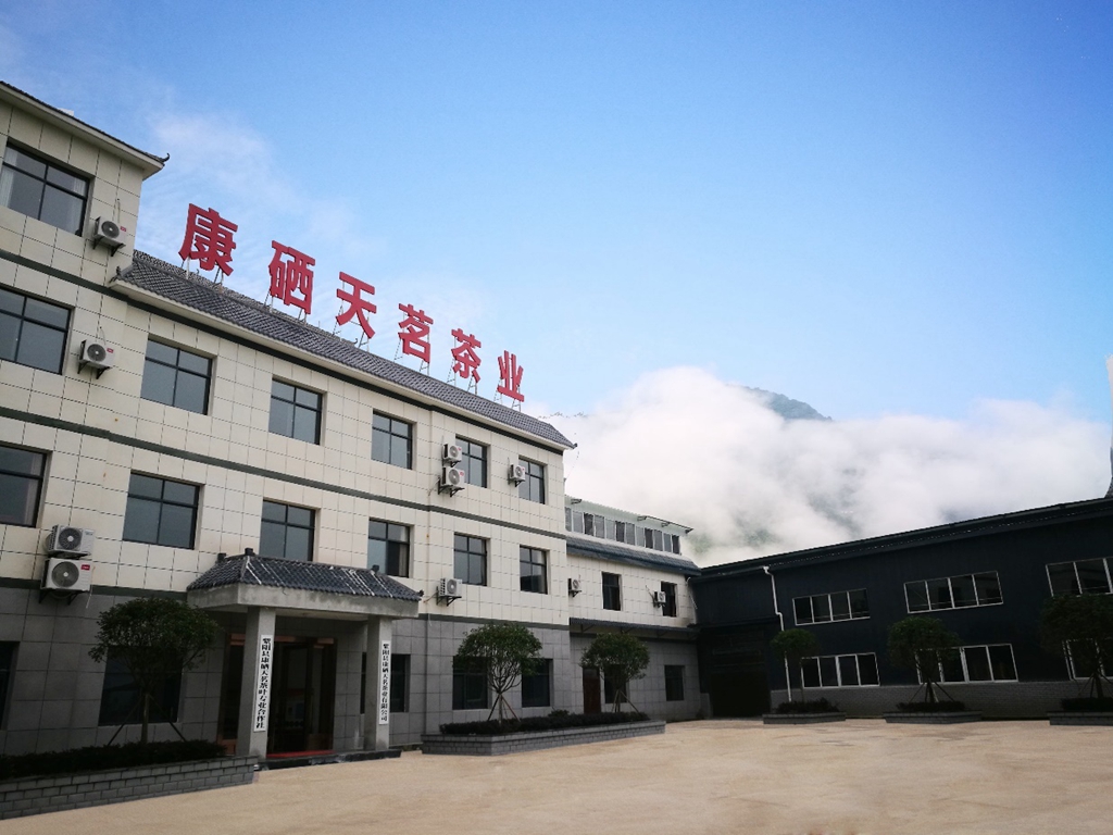 双桥康硒天茗生产线技改扩能及园区提档升级项目