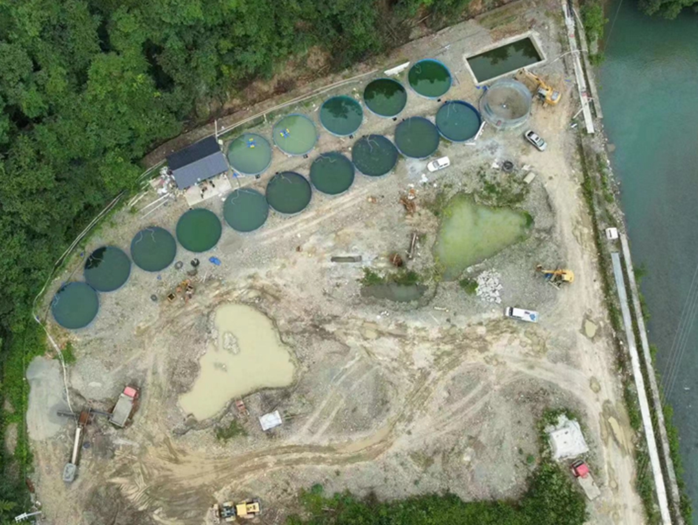 双桥俊玉现代农业园区