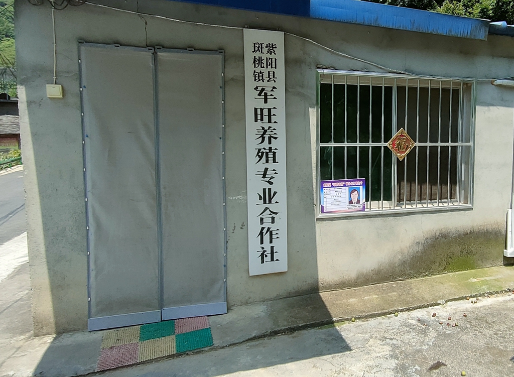 优良种鸡繁育场项目