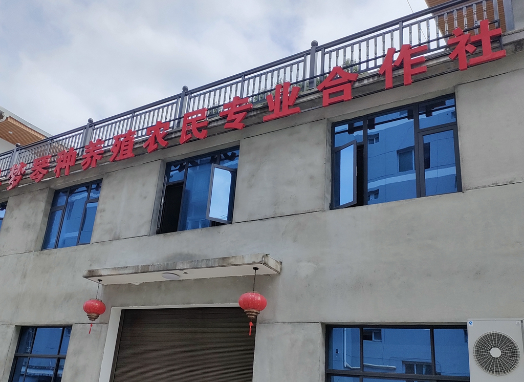 城关梦琴农产品包装生产项目