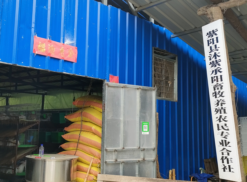 城关沐紫承阳特色养殖项目