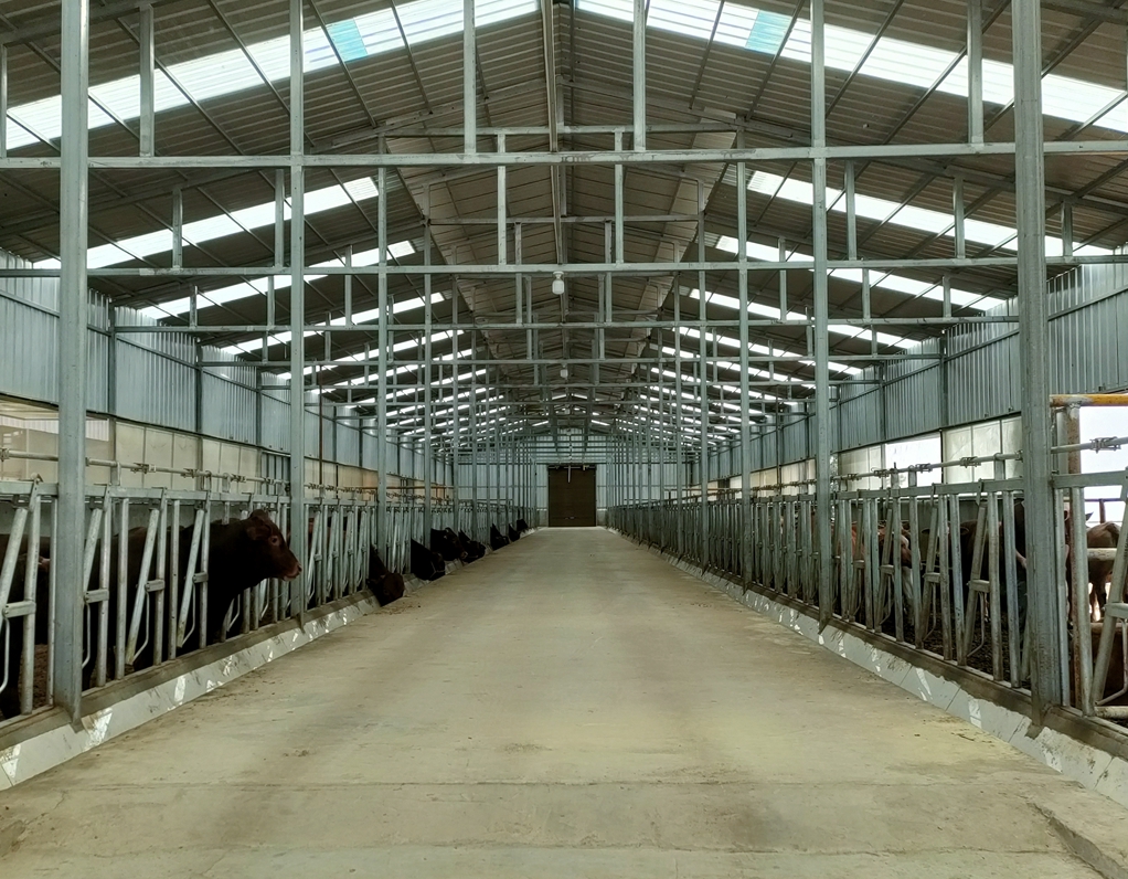 红椿立早畜牧养殖场二期项目