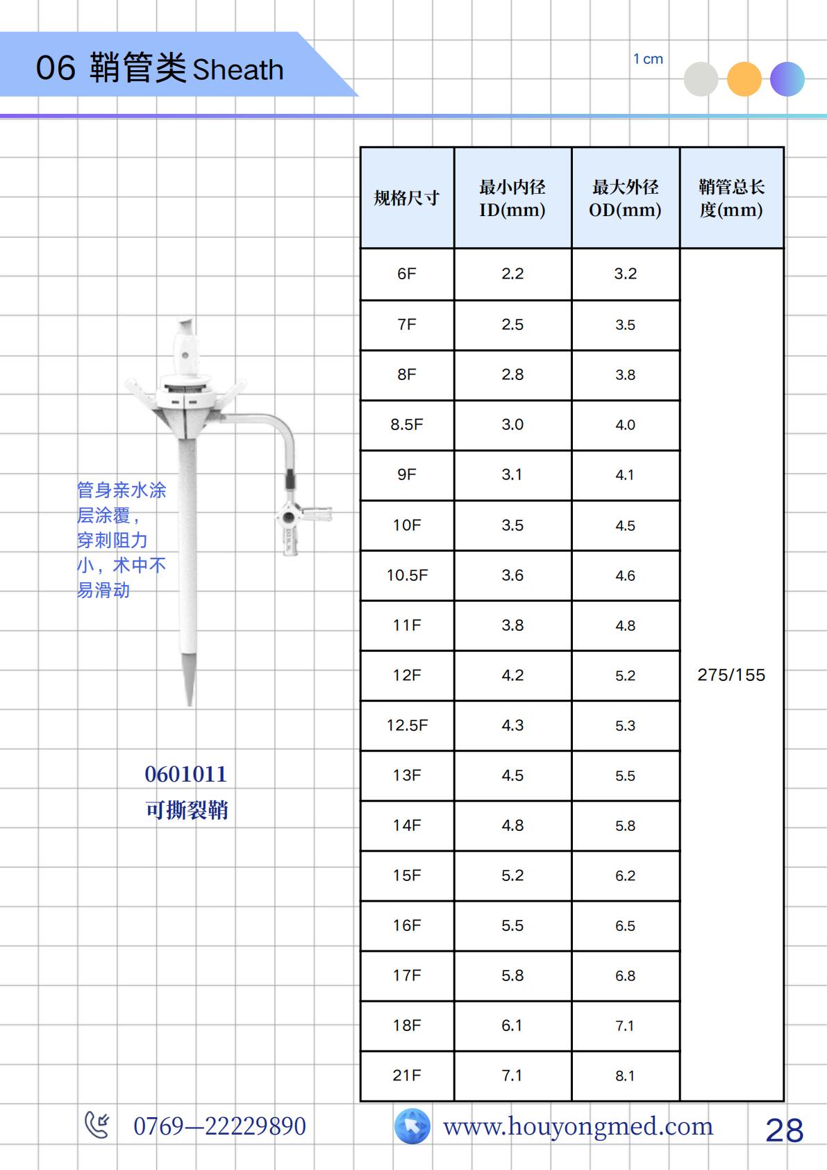 蟹爪兰