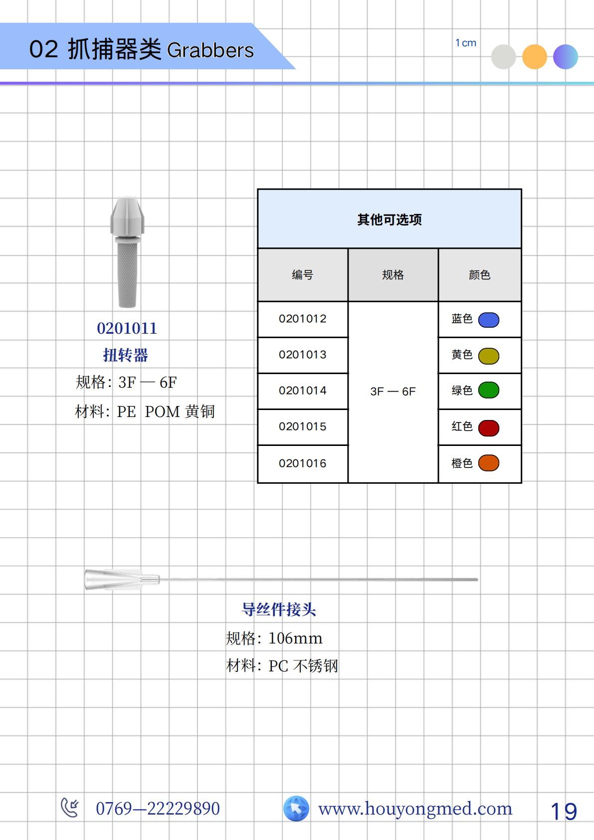 蟹爪兰