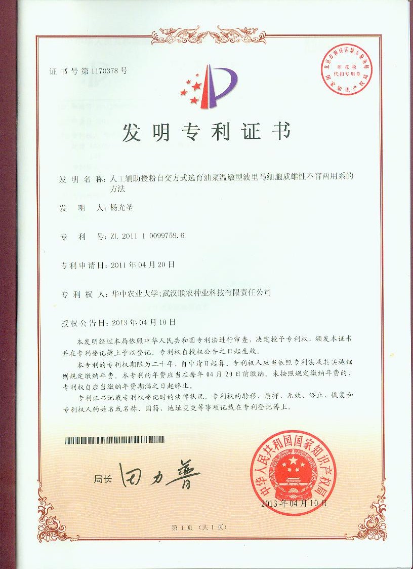 人工辅助自交方式选育温敏型波里马细胞质雄性不育两用系的方法