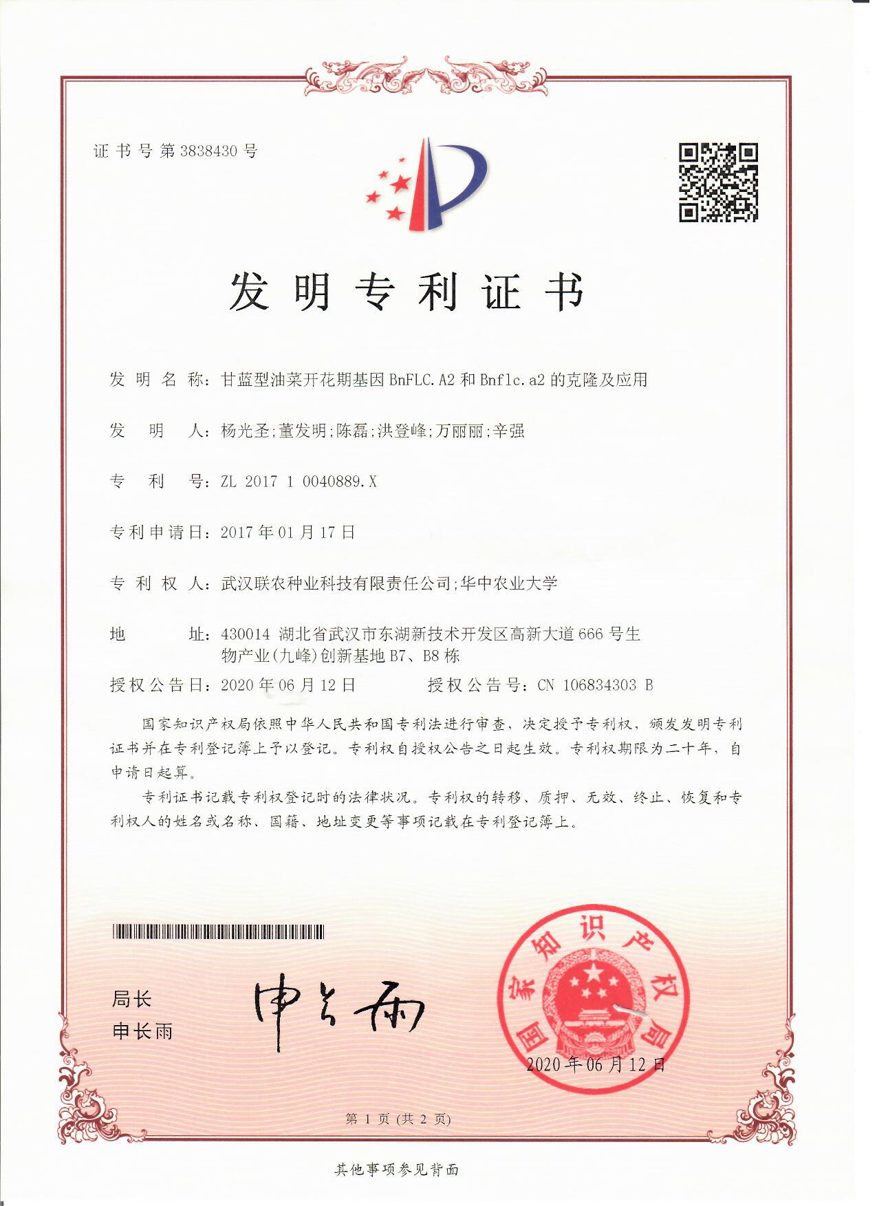 甘蓝型油菜开花期基因BnFLC.A2和Bnflc.a2的克隆及应用1
