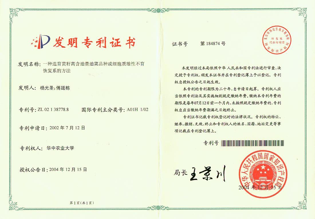 黄籽高含油量品种或CMS恢复系选育方法