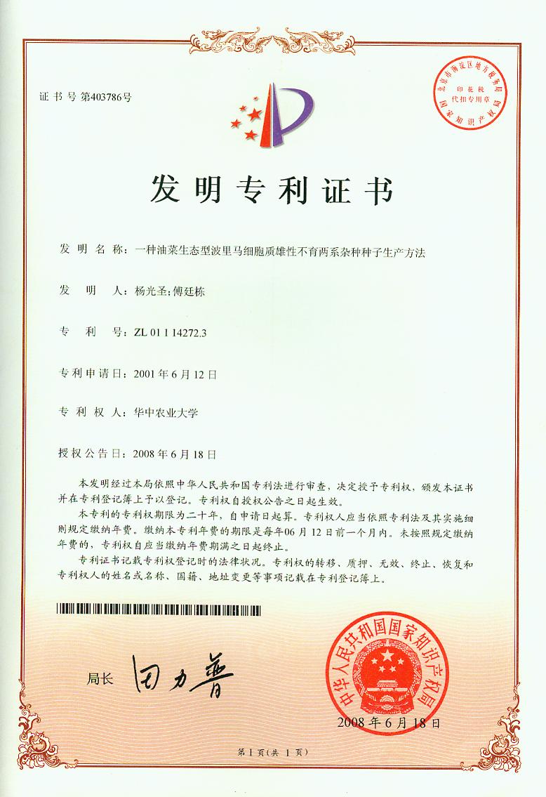 一种油菜生态型波里马雄性不育两系杂种种子生产方法