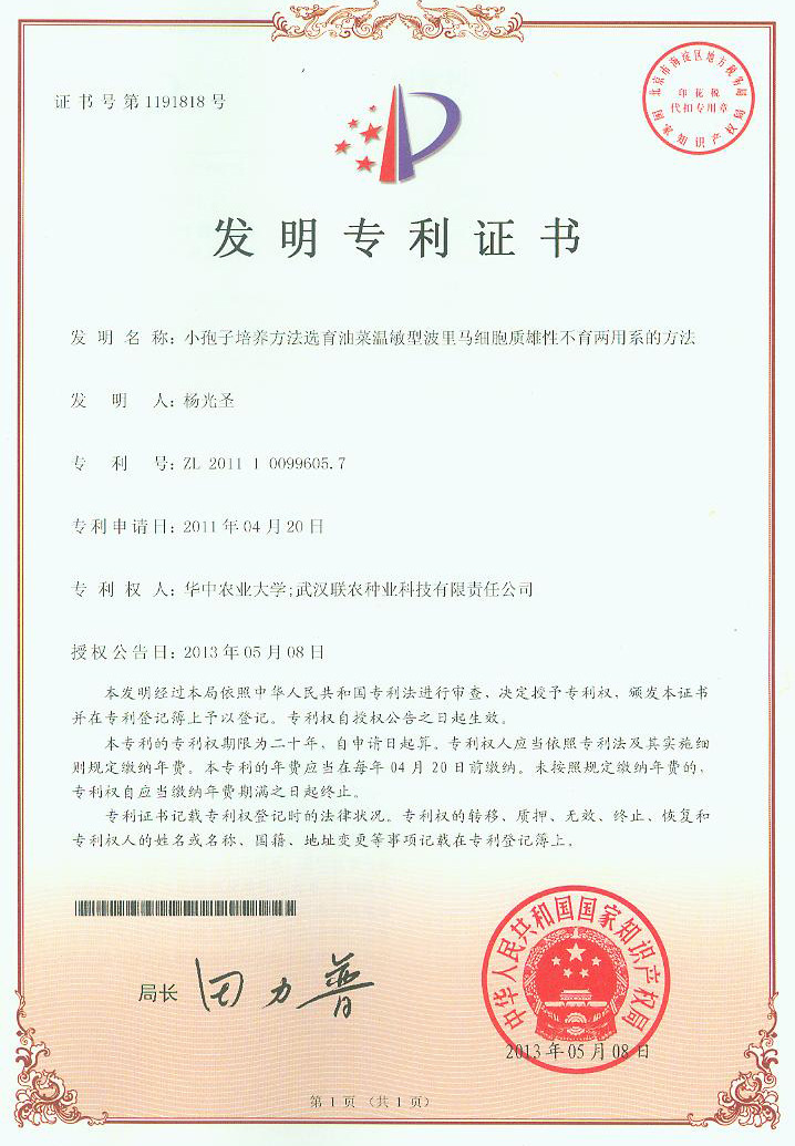 小孢子培养方法选育温敏型波里马细胞质雄性不育两用系