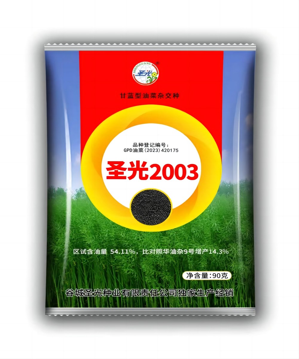 圣光2003