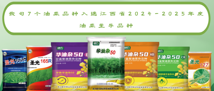 我司7个油菜品种入选江西省2024-2025年度油菜主导品种