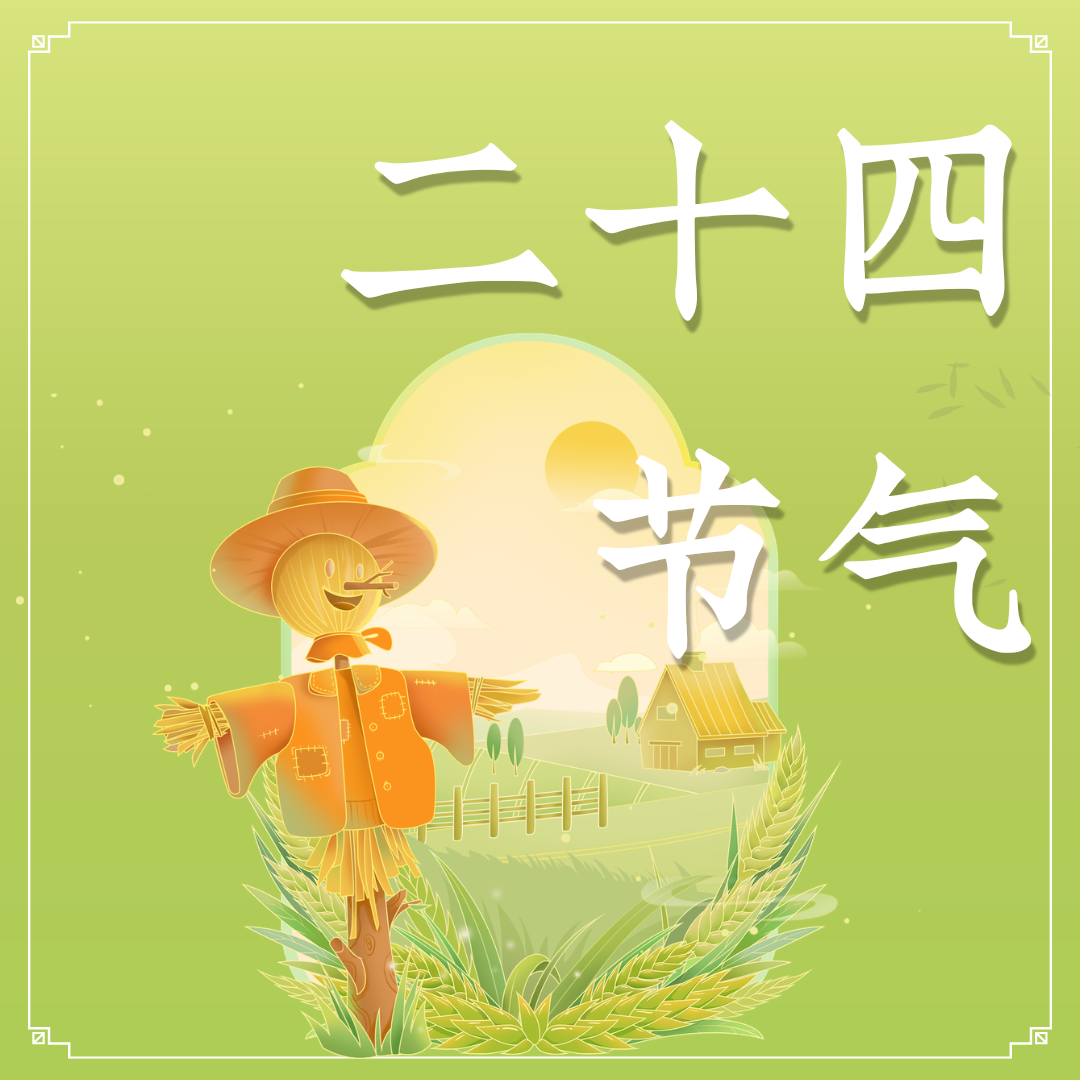 【联农种业】芒种播希望，油香满田畴——专注油菜良种，助力岁岁丰产！