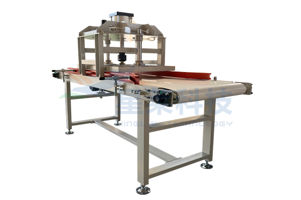 壓包排氣皮帶輸送機XLSS-0721