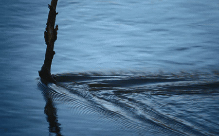 “以诗为名,塑料再生为信仰坚持”诗词征稿全国启动