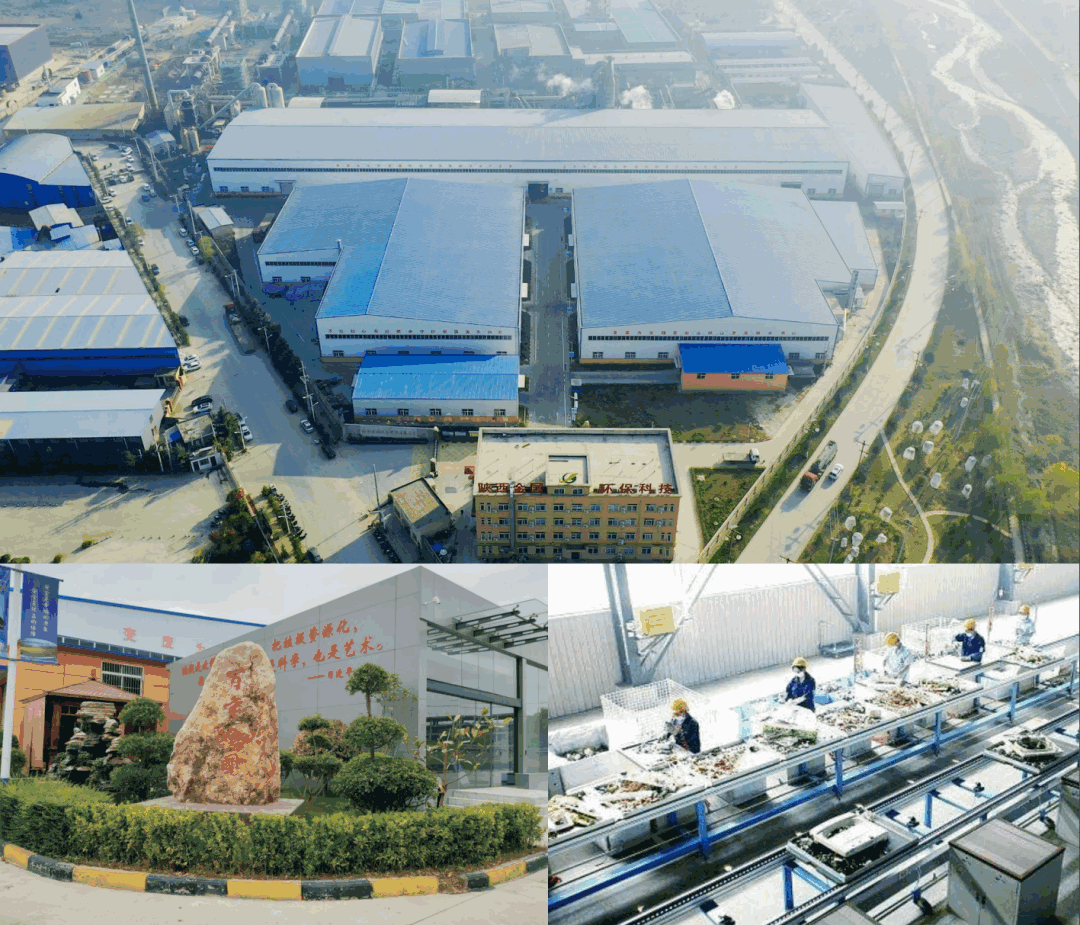 押注“双资质”,9年创收5.1亿:金国环保胡小梅的“反常识”崛起密码