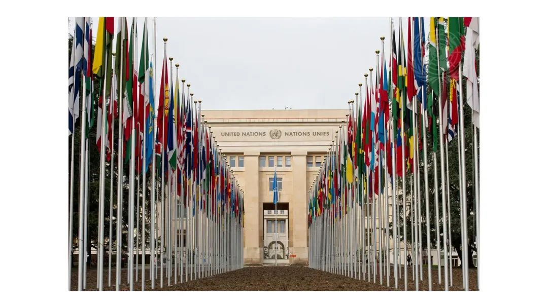 联合国“塑料条约”谈判即将重启:共识仍难达成、美国立场或将360°转变…