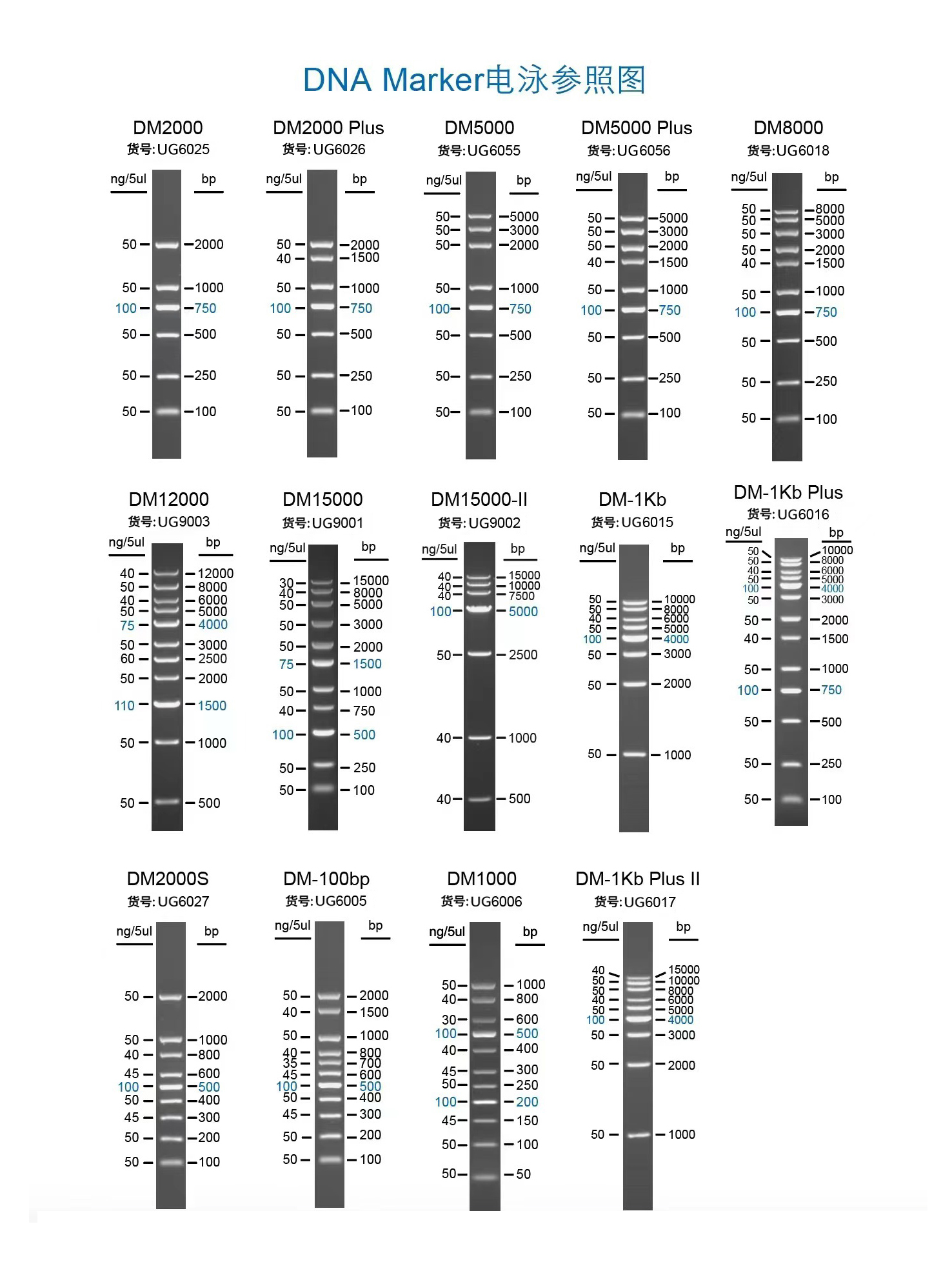 DM-1kb Plus ⅡDNA Marker；UG6017B