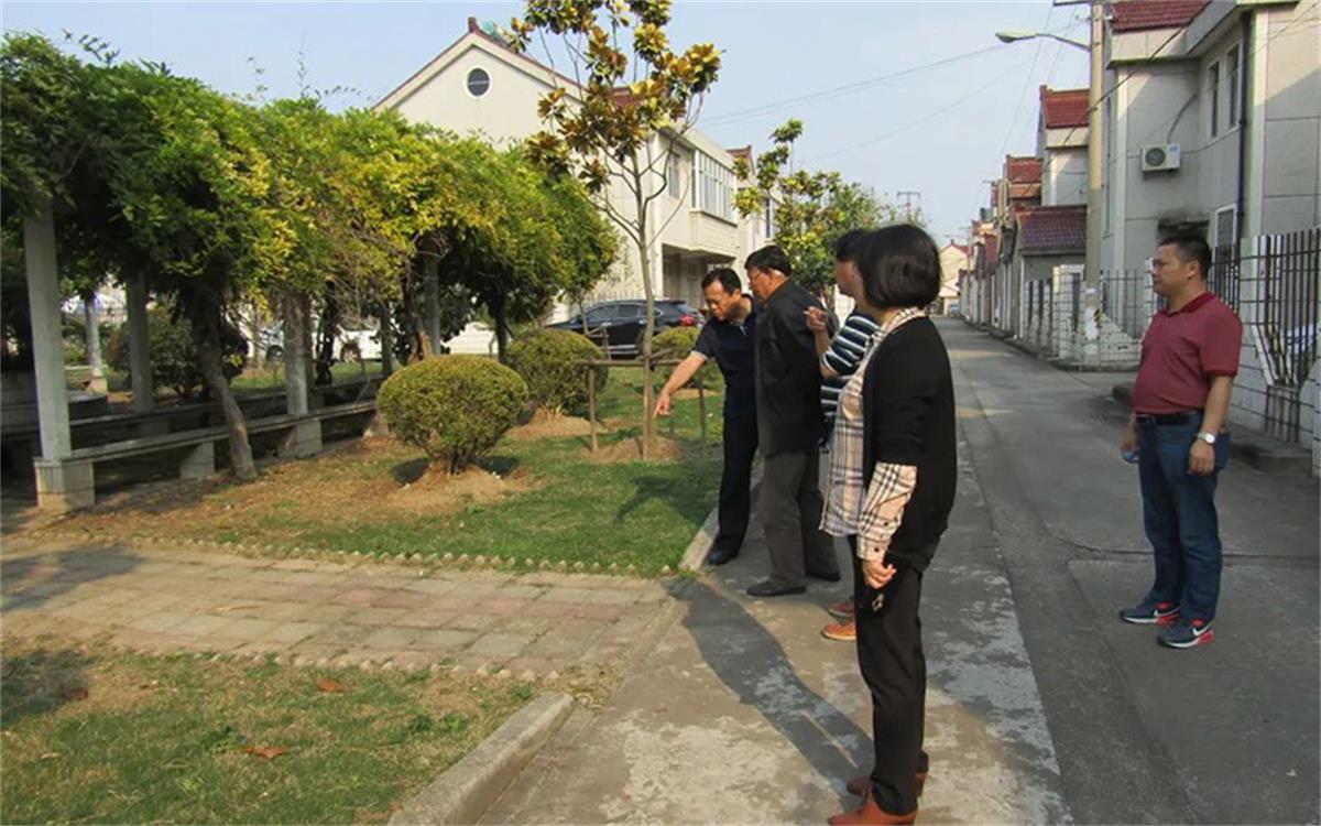 【“三会”系列案例】合庆镇庆丰村——村务治理听证会 年度实事村民定