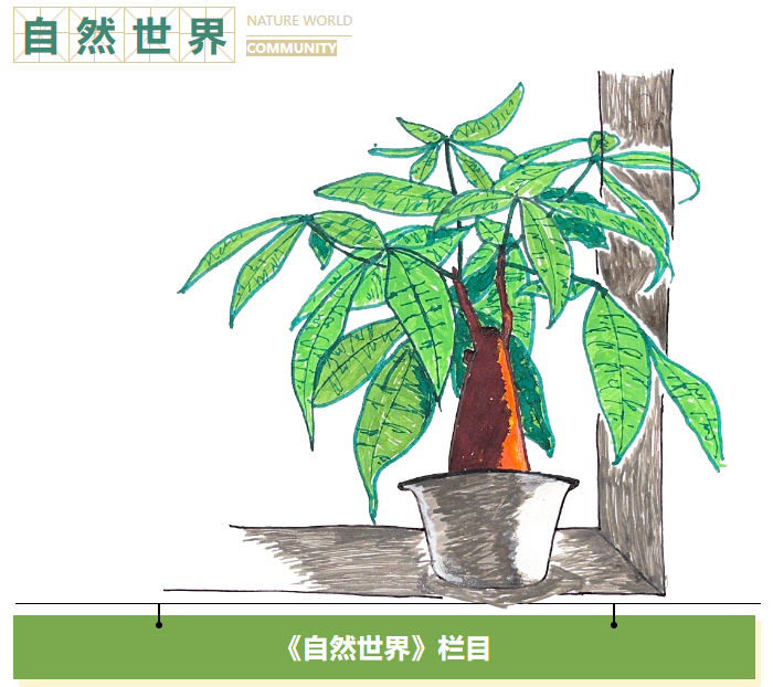 【自然世界】纳百态生活，圈幸福未来——上海“15分钟社区生活圈”的十年探索