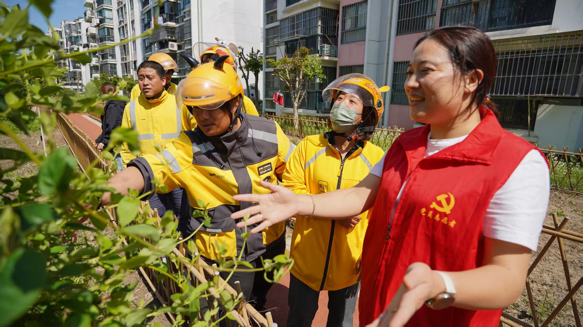 【善治家园·名师优荐】自治金项目案例精选（二）