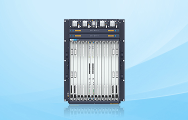 光网络 骨干OTN产品