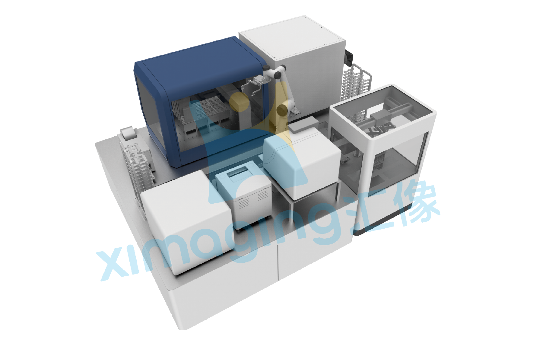 SNP基因分型检测系统