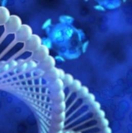 万人份检测,超高通量核酸检测自动化系统助“沪”战“疫”