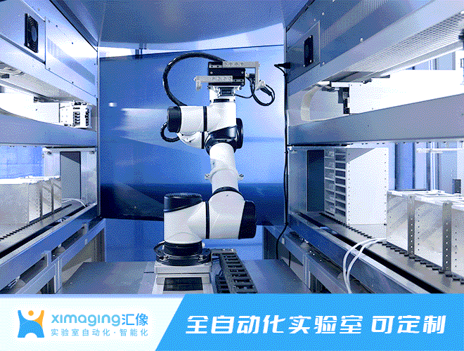 喜报 | 上海汇像入选2022年度“灼耀之星”生命科学企业榜!