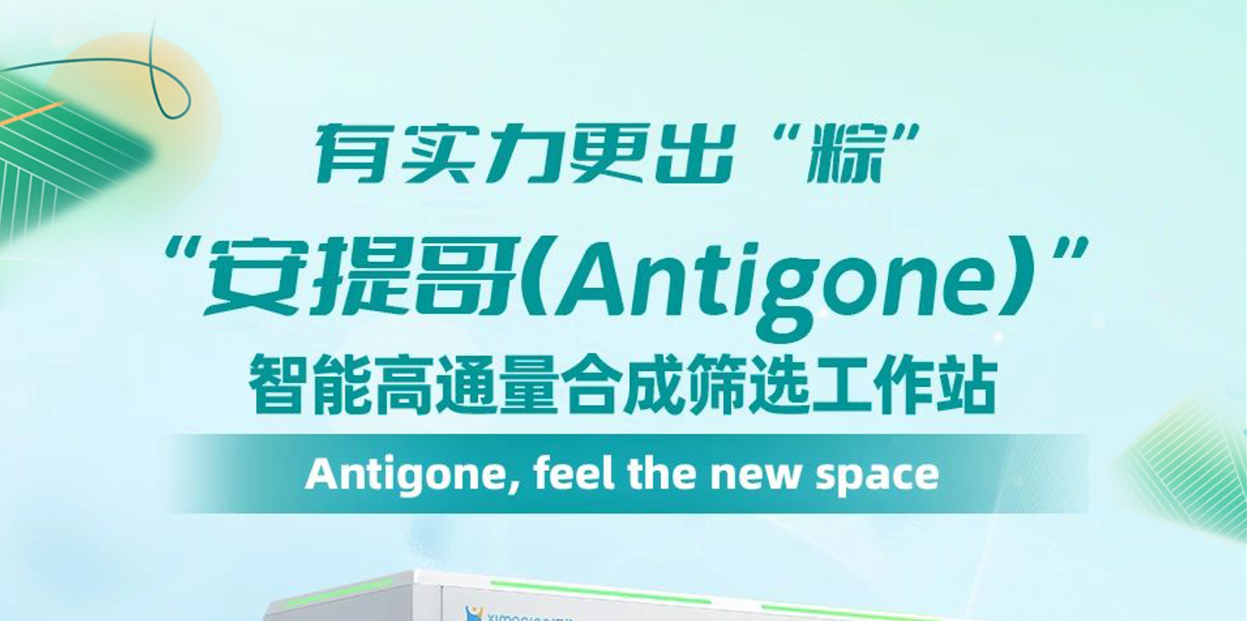 有实力更出“粽”!汇像科技智能高通量合成筛选,加速新药研发创新