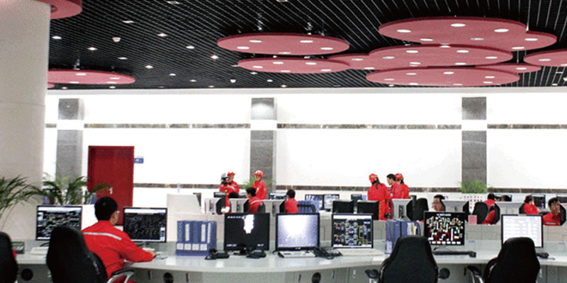 海南某石化项目