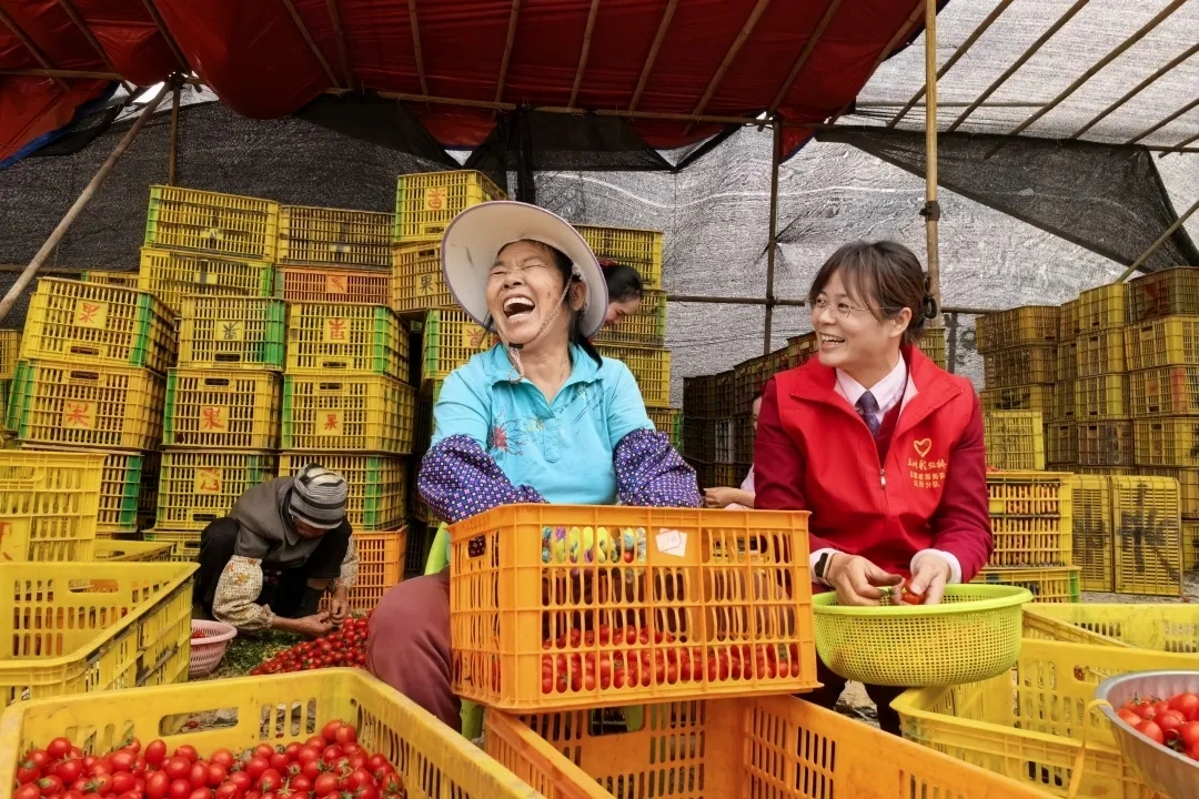 弘扬雷锋精神 践行责任担当 | 五洲交通多彩志愿服务擦亮文明底色