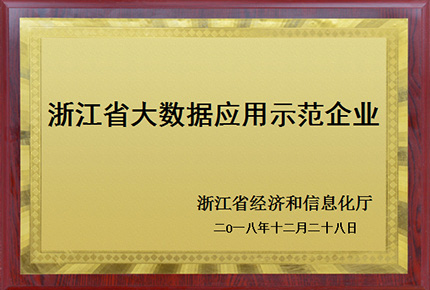 浙江省大數(shù)據(jù)應(yīng)用示范企業(yè)