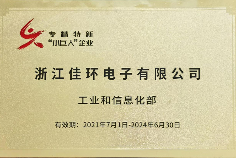 國家專精特新‘小巨人’企業(yè)