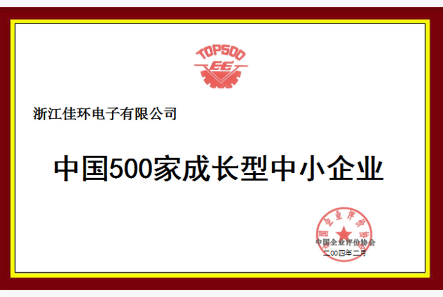 中國500家成長型中小企業(yè)