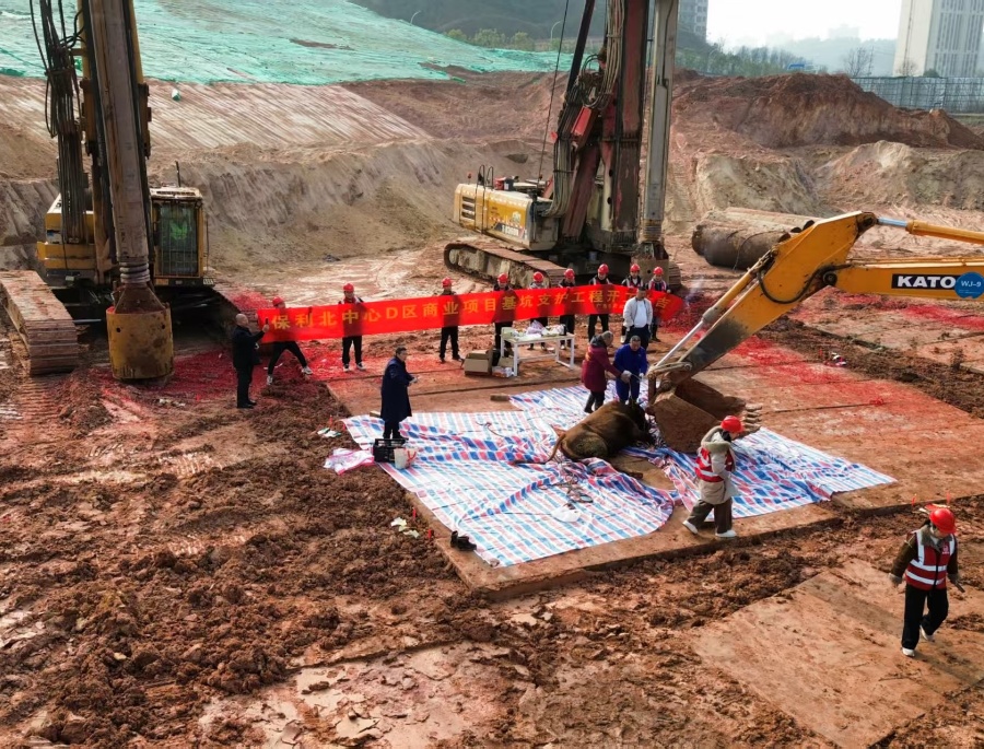 项目名称：保利北中心D区商业项目基坑支护工程