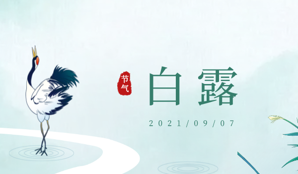 新官网封面2_自界说px_2022-02-16+14_05_05