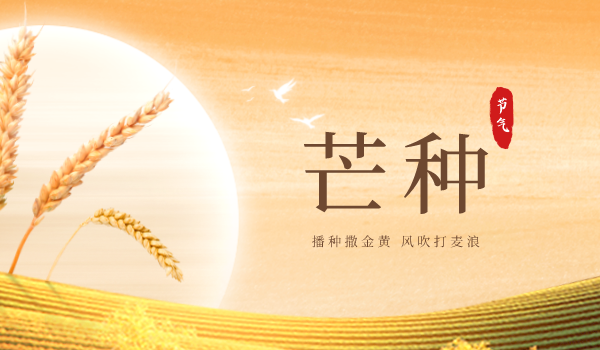 新官网封面2_自界说px_2022-06-06+09_13_46