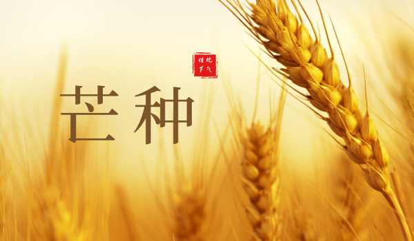 默認(rèn)標(biāo)題__2023-06-06+09_14_23