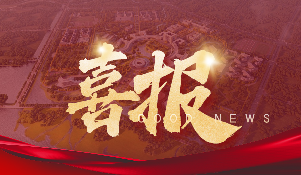 勢如破竹!深裝集團連中五十標