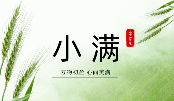 小滿|小麥初盈正潤 滿園夏韻已濃
