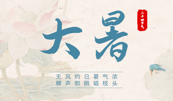 大暑|無風灼日暑氣濃 蟬聲郎朗唱枝頭