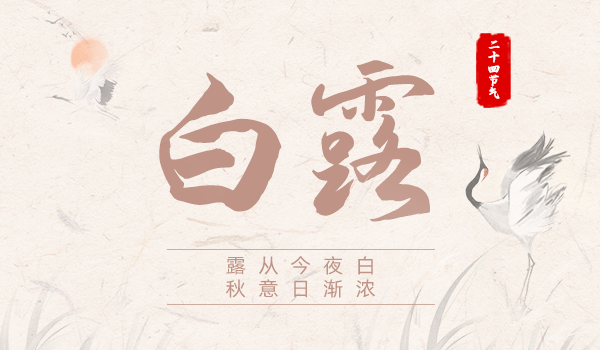 官網(wǎng)封面-白露