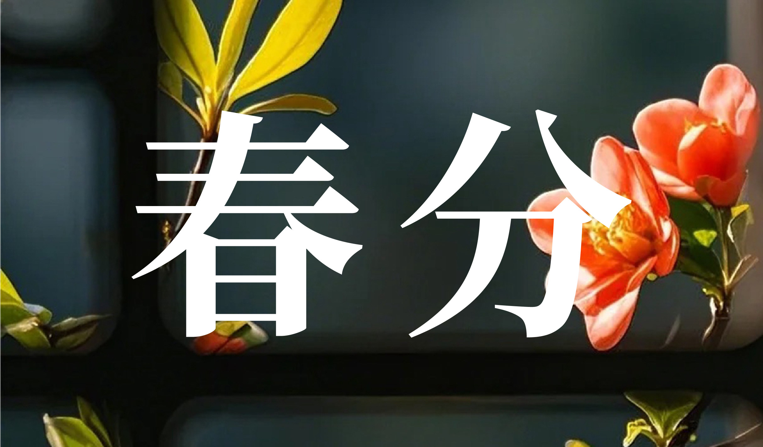 春分 | 春分启新局 向光而生长